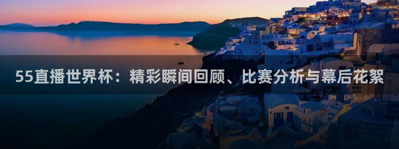 中山熊猫体育：55直播世界杯：精彩瞬间回顾、比赛分析与幕后花絮