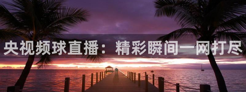 熊猫体育公园：央视频球直播：精彩瞬间一网打尽