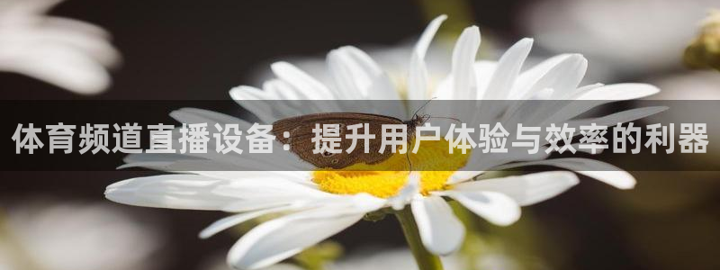 熊猫直播下载官网：体育频道直播设备：提升用户体验与效率的利器