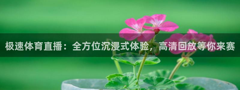 熊猫熊猫歌曲：极速体育直播：全方位沉浸式体验，高清回放等你来赛