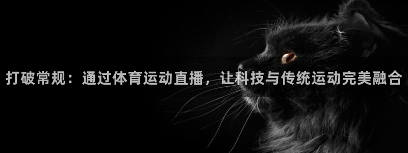 熊猫主播视频：打破常规：通过体育运动直播，让科技与传统运动完美融合