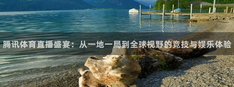 熊猫体育app下载安装：腾讯体育直播盛宴：从一地一局到全球视野的竞技与娱乐体验