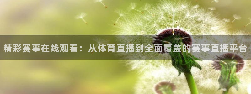 中山熊猫体育：精彩赛事在线观看：从体育直播到全面覆盖的赛事直播平台