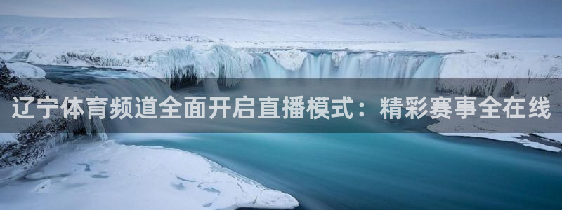 熊猫足球直播：辽宁体育频道全面开启直播模式：精彩赛事全在线