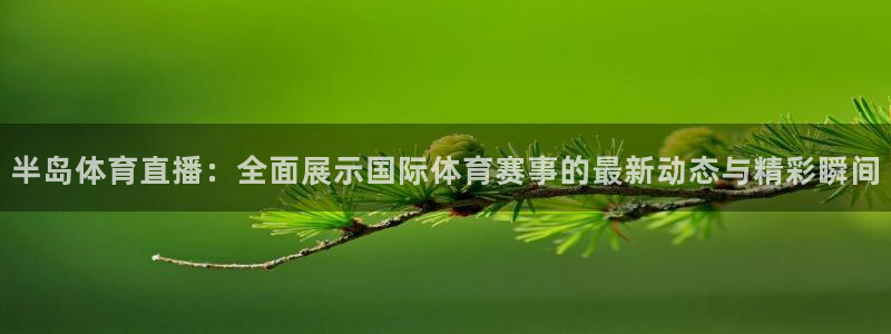 熊猫官网在线直播：半岛体育直播：全面展示国际体育赛事的最新动态与精彩瞬间