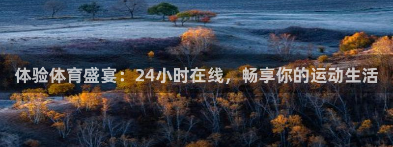 关于熊猫的：体验体育盛宴：24小时在线，畅享你的运动生活