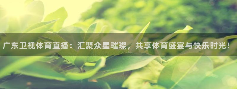 熊猫体育app：广东卫视体育直播：汇聚众星璀璨，共享体育盛宴与快乐时光！