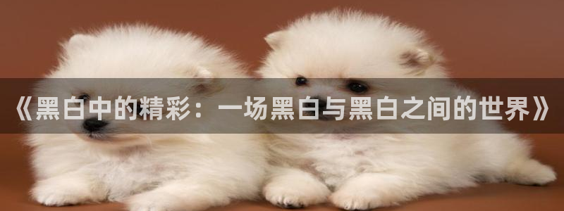 熊猫体育直播app下载：《黑白中的精彩：一场黑白与黑白之间的世界》